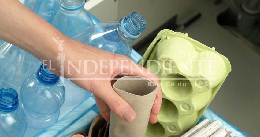 A nivel nacional escuelas cabeñas logran primeros lugares en recolección de materiales reciclables A nivel nacional escuelas cabeñas logran primeros lugares en recolección de materiales reciclables