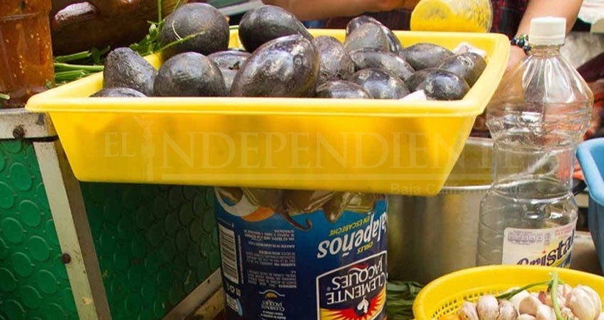¡Aguacate por las nubes! Más caro que el pollo y la carne ¡Aguacate por las nubes! Más caro que el pollo y la carne