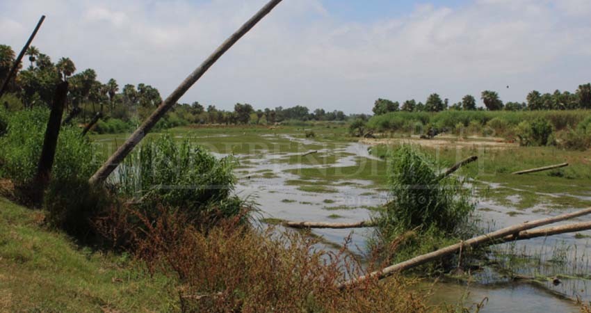 El Estero sí está contaminado por derrames de aguas negras, confirma Coepris BCS El Estero sí está contaminado por derrames de aguas negras, confirma Coepris BCS