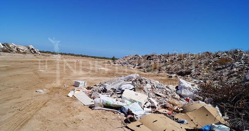 Urge retirar tiraderos en manglares antes del paso de huracanes: Zofemat