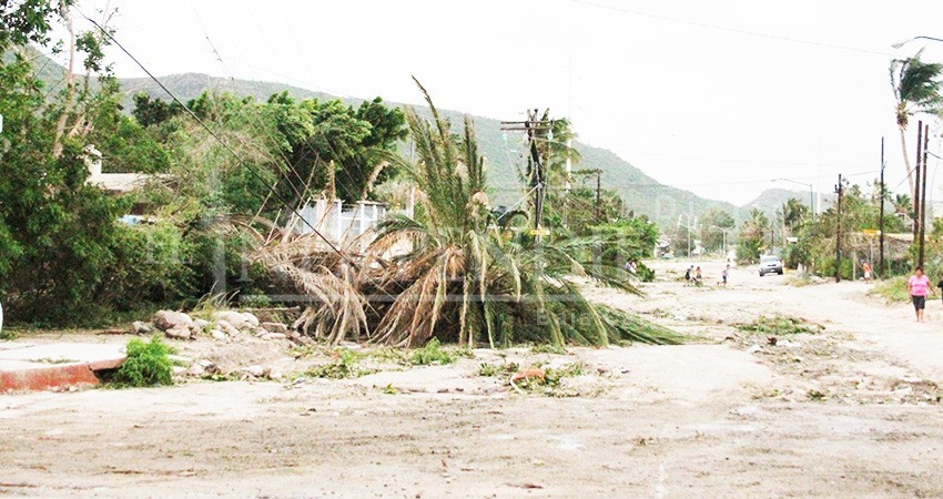 Requiere La Paz un “atlas de riesgo” para reubicar asentamientos humanos: Alcalde Requiere La Paz un “atlas de riesgo” para reubicar asentamientos humanos: Alcalde