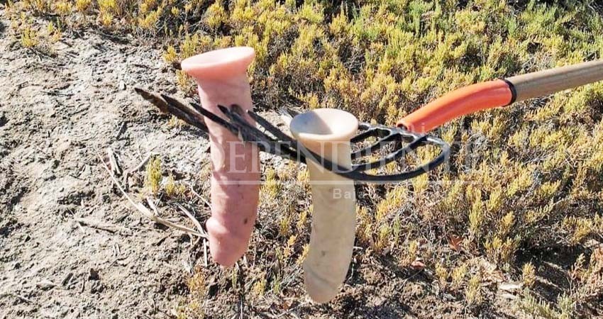 Encuentran juguetes sexuales en los manglares del Conchalito de La Paz Encuentran juguetes sexuales en los manglares del Conchalito de La Paz
