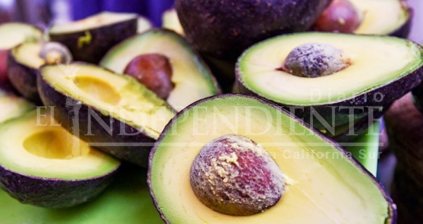 ¿Aguacate? Ni pa’ las tortas, ya cuesta $130 el kilo ¿Aguacate? Ni pa’ las tortas, ya cuesta $130 el kilo
