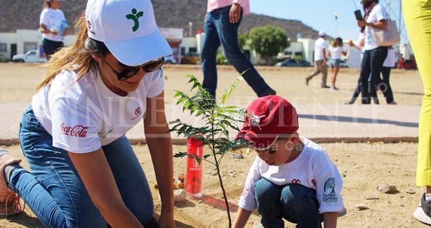 “Un Árbol por la Esperanza” suma 10 mil árboles plantados en La Paz