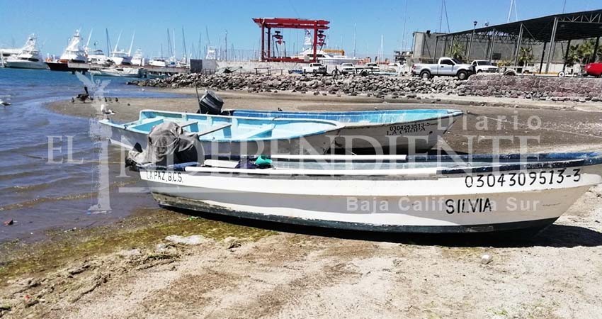 Presentarán iniciativa para crear pesca deportiva ribereña en BCS Presentarán iniciativa para crear pesca deportiva ribereña en BCS