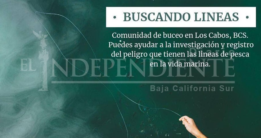 Zero Waste pide apoyo a buzos para documentar daños por líneas de pesca Zero Waste pide apoyo a buzos para documentar daños por líneas de pesca