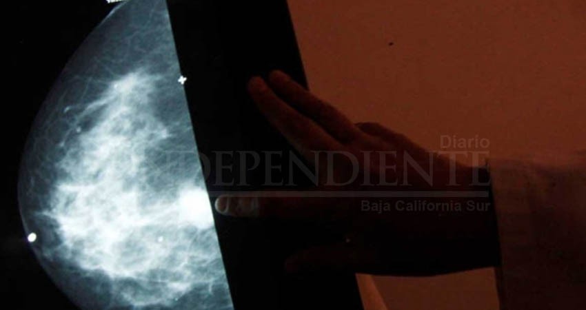 Científicos habrían encontrado el 'talón de Aquiles' del cáncer Científicos habrían encontrado el 'talón de Aquiles' del cáncer