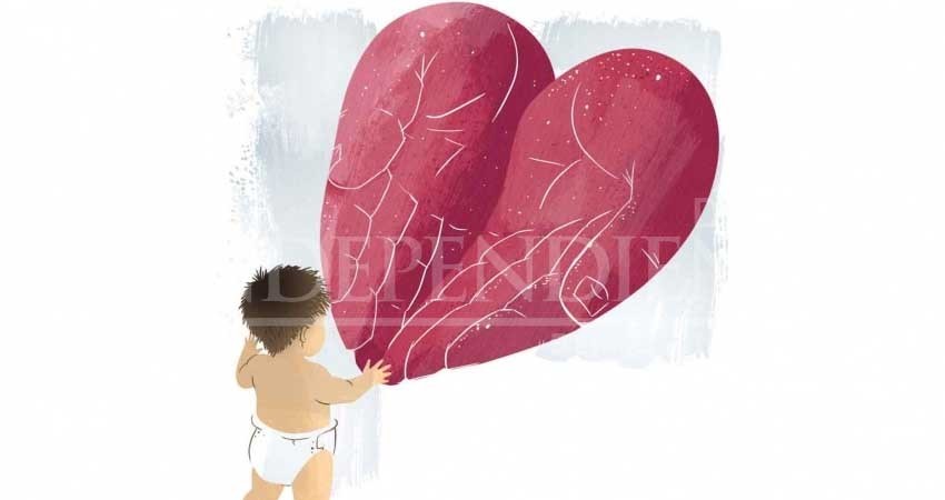 Adopción, un regalo de vida; falta cultura de amparo a menores en México Adopción, un regalo de vida; falta cultura de amparo a menores en México