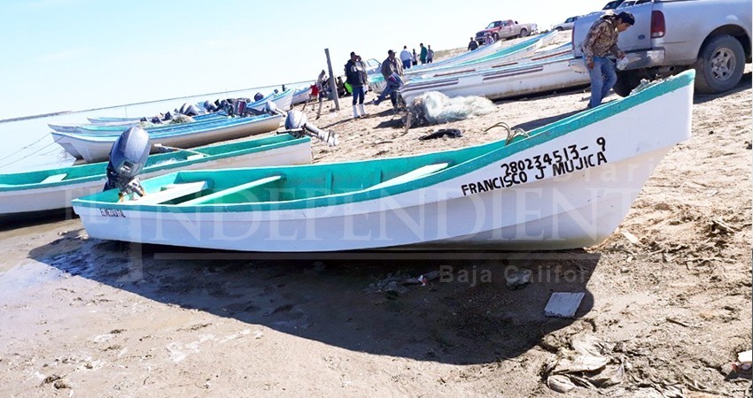 Prepara Ayto. de La Paz sus 4 ejes para proteger la pesca ribereña Prepara Ayto. de La Paz sus 4 ejes para proteger la pesca ribereña