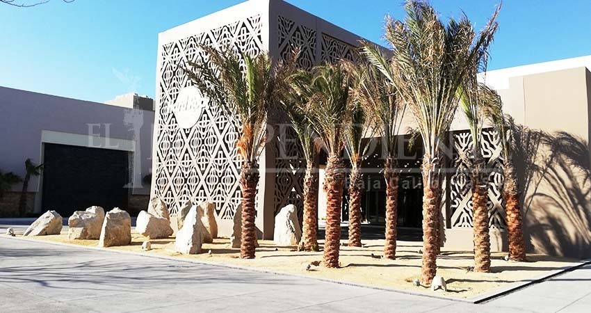 Los Cabos en la mira internacional de grupos y convenciones Los Cabos en la mira internacional de grupos y convenciones