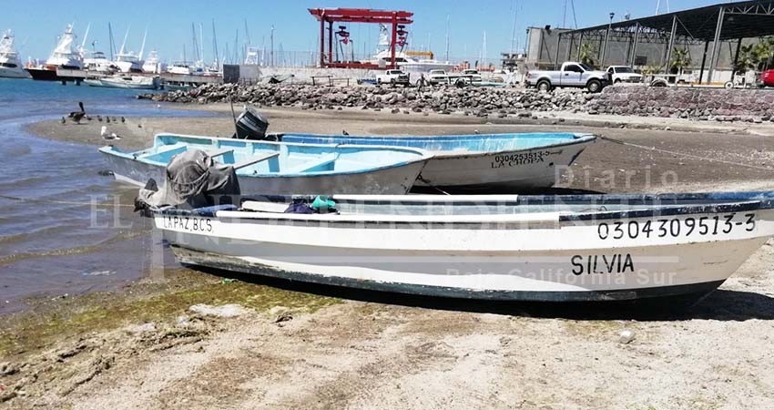Continúan los retrasos en permisos para pescadores ribereños: SEPADA Continúan los retrasos en permisos para pescadores ribereños: SEPADA