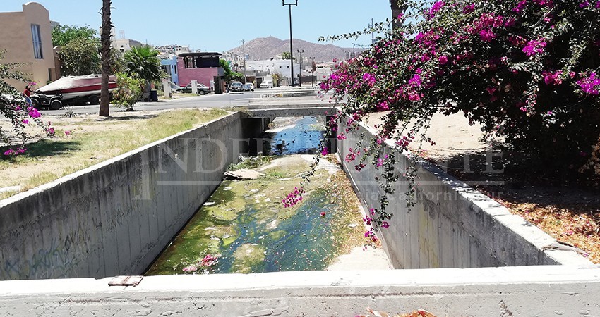 Verde y maloliente está el canal pluvial de Miramar en CSL Verde y maloliente está el canal pluvial de Miramar en CSL