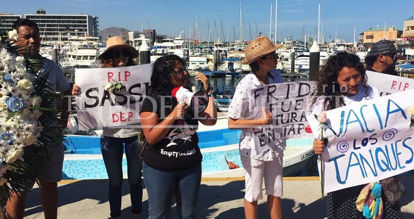 Llega a Los Cabos el Tour de Activismo Antiespecista México 2019 Llega a Los Cabos el Tour de Activismo Antiespecista México 2019