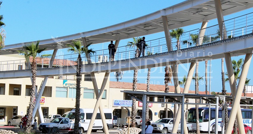 Puente Chedraui Selecto – La Mega, cumple requisitos técnicos de SCT BCS Puente Chedraui Selecto – La Mega, cumple requisitos técnicos de SCT BCS