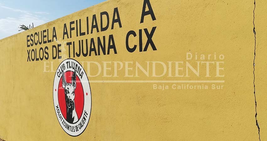 Xolos Tijuana abrirá escuela de futbol en Los Cabos Xolos Tijuana abrirá escuela de futbol en Los Cabos