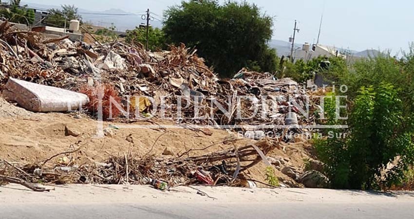 Rellenan bordo de calle Ernesto Arámburo de SJC con basura Rellenan bordo de calle Ernesto Arámburo de SJC con basura