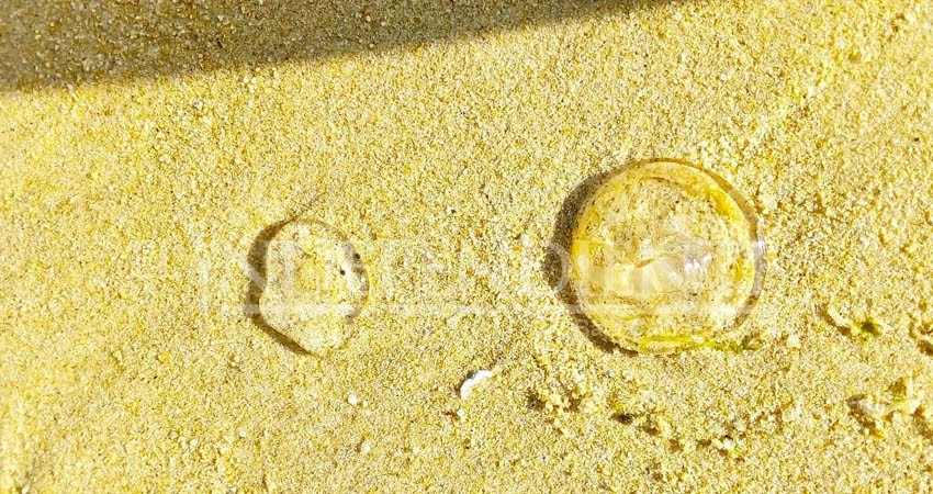 Alerta en playas de CSL por oleaje y presencia de medusas