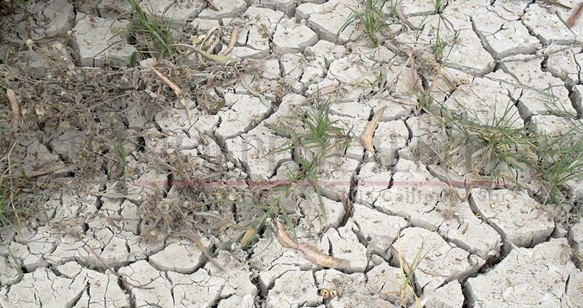 La Paz sufre un estrés hídrico superior a los 7 mil millones de litros 