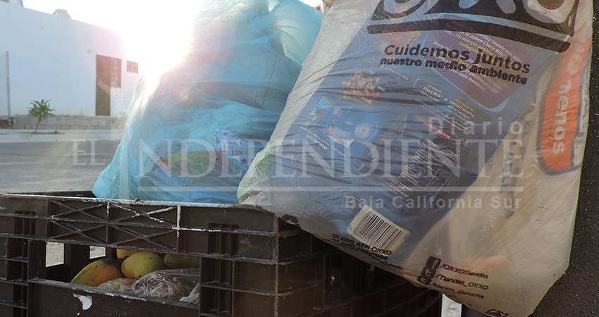 Recolección de basura en Puerto Nuevo y Chula Vista se brinda dos veces por semana: Servicios Públicos