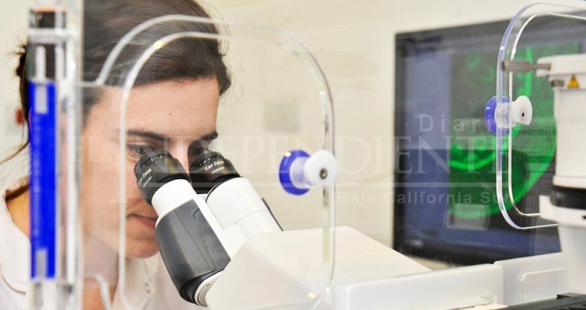 Es “raquítico” el presupuesto para Ciencia y Tecnología en BCS