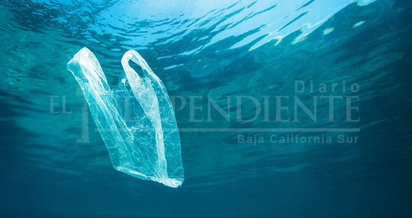 Reglamento “Desplastifícate” será aprobado este 8 de agosto en La Paz