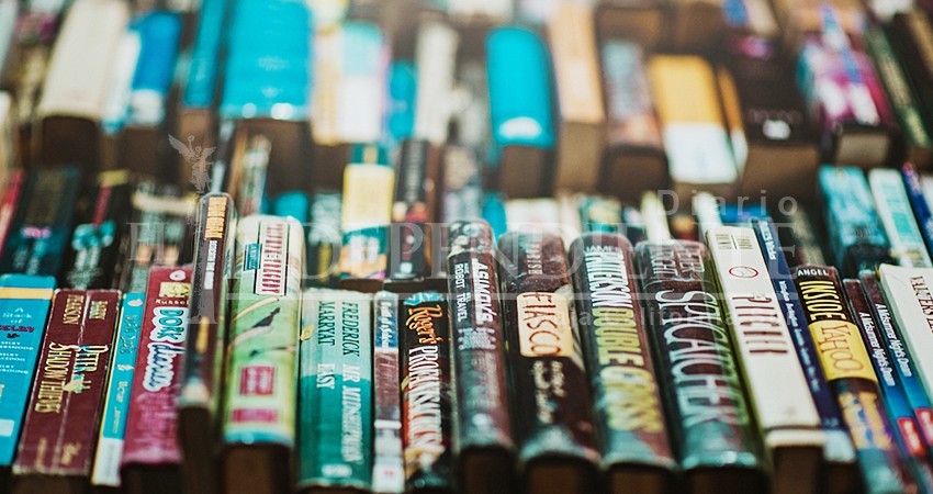 Confirma ISC, no habrá premios literarios este 2019 Confirma ISC, no habrá premios literarios este 2019