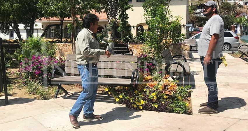 Apenas 6 meses de su entrega, en Plaza Amelia Wilkes y ya salió a relucir la mala calidad de la obra Apenas 6 meses de su entrega, en Plaza Amelia Wilkes y ya salió a relucir la mala calidad de la obra