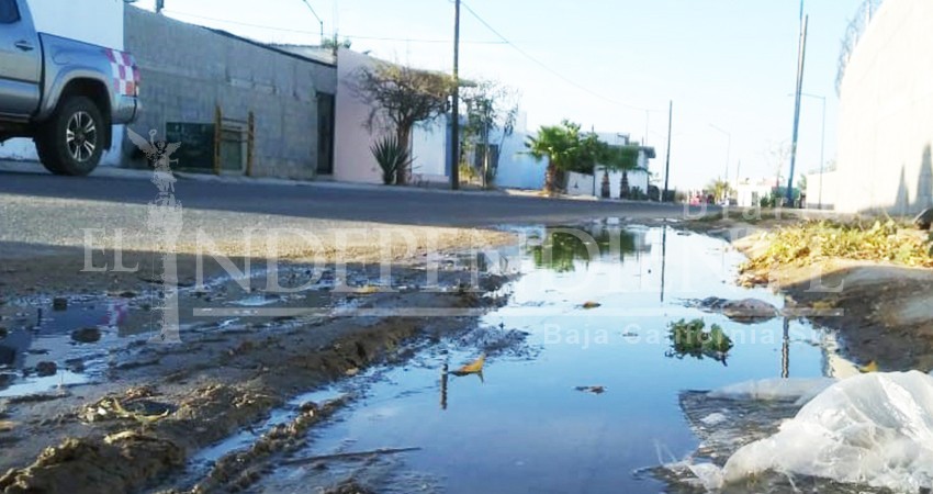 Mientras cientos de litros de agua se desperdician en fugas, vecinos siguen padecen escasez Mientras cientos de litros de agua se desperdician en fugas, vecinos siguen padecen escasez