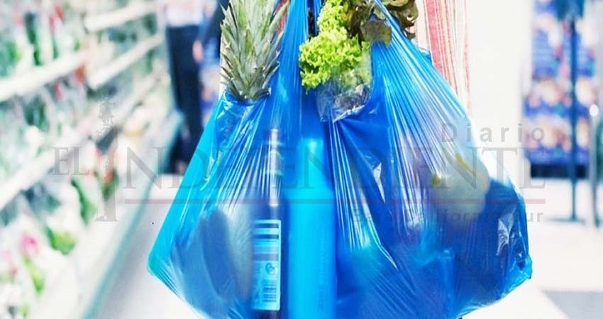 No acatar “Ley Desplastifícate” en La Paz podría costarte 8 mil 440 pesos No acatar “Ley Desplastifícate” en La Paz podría costarte 8 mil 440 pesos