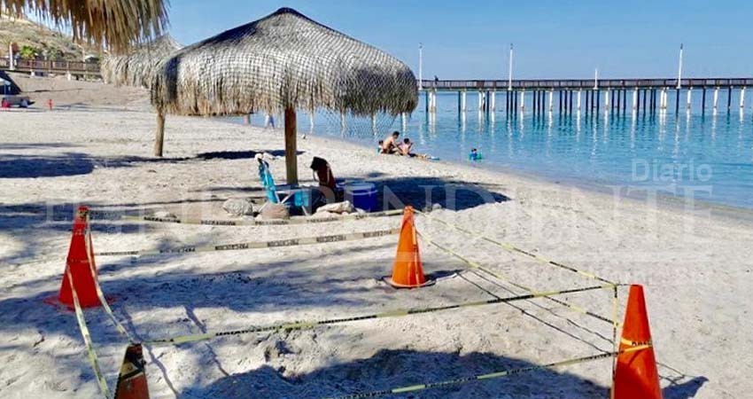 Anida una tortuga en Playa El Coromuel Anida una tortuga en Playa El Coromuel