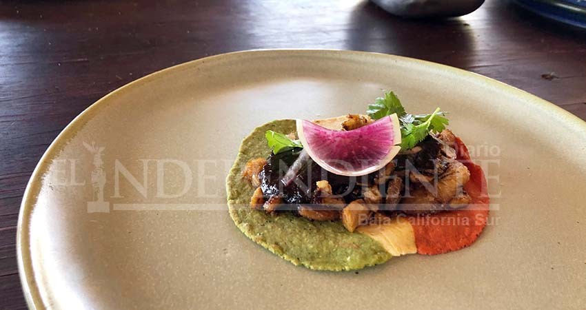 70% de los turistas en Los Cabos buscan experiencias gastronómicas 70% de los turistas en Los Cabos buscan experiencias gastronómicas