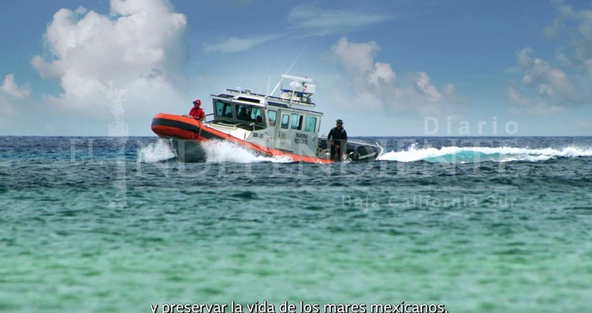 2019, el peor año para la vigilancia de los mares de México 2019, el peor año para la vigilancia de los mares de México