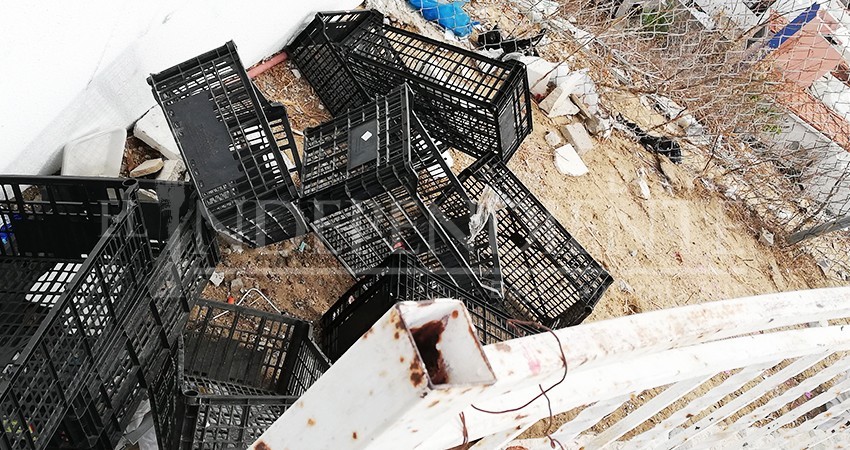 Cajas de plástico sustituyen bolsas en basureros de CSL