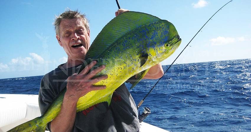 “Totalmente falso que no queramos pagar” los premios de Copa La Paz: Turismo “Totalmente falso que no queramos pagar” los premios de Copa La Paz: Turismo