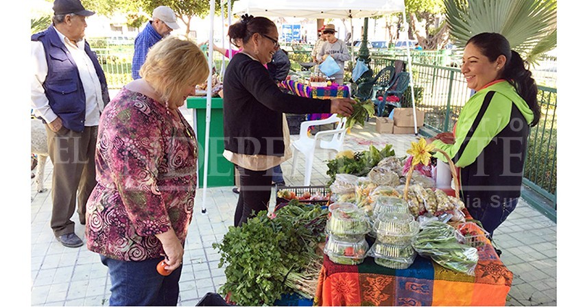 Prevé el Ayuntamiento de La Paz reubicar Mercado Orgánico