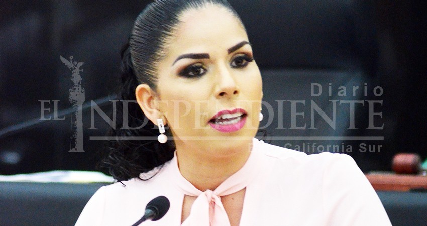 Respetaremos si SCJN devuelve manejo del Congreso a Morena: Perla Flores