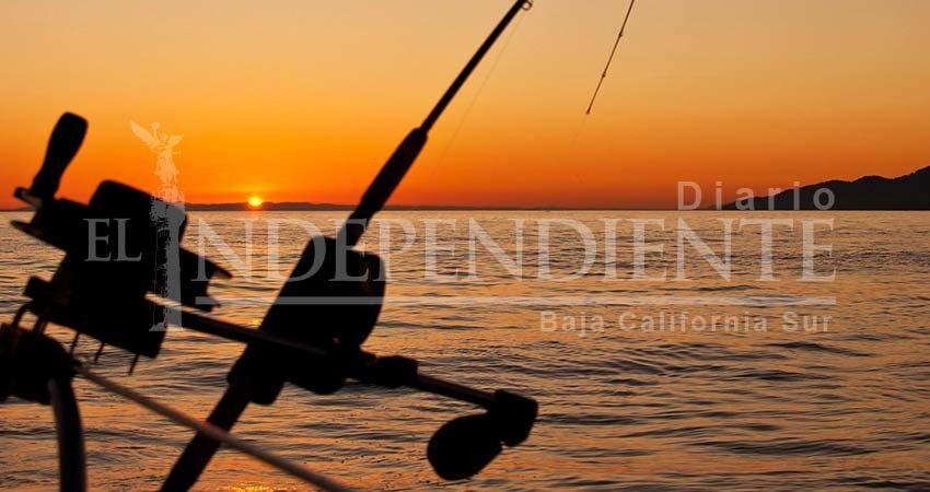 Turistas de pesca deportiva gastan en promedio 1,500 dólares al visitar La Paz Turistas de pesca deportiva gastan en promedio 1,500 dólares al visitar La Paz