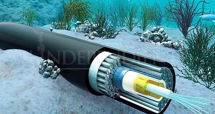 Que CFE instale cable submarino no evitará contaminación: Milena Quiroga Que CFE instale cable submarino no evitará contaminación: Milena Quiroga