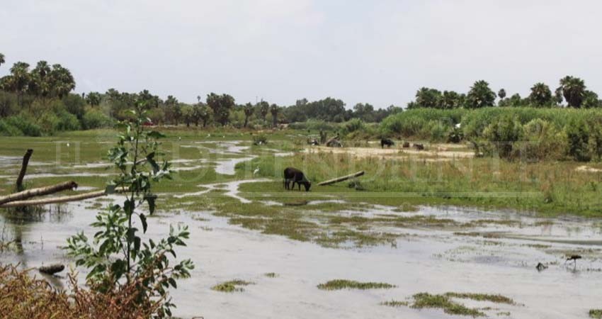 Avanza Consejo Asesor del Estero de SJC en elaboración de reglamento Avanza Consejo Asesor del Estero de SJC en elaboración de reglamento