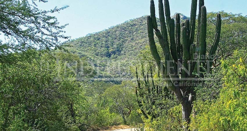 Se desmoronan "Los Cardones": Otro predio de la Sierra es cedido a Conanp Se desmoronan "Los Cardones": Otro predio de la Sierra es cedido a Conanp