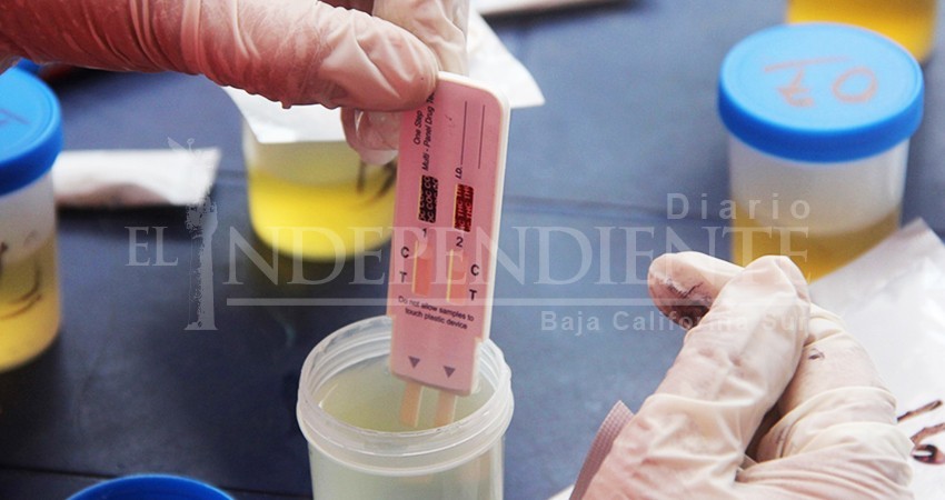 Obligatorio examen toxicológico para empleados primer nivel del Ayto de Los Cabos Obligatorio examen toxicológico para empleados primer nivel del Ayto de Los Cabos