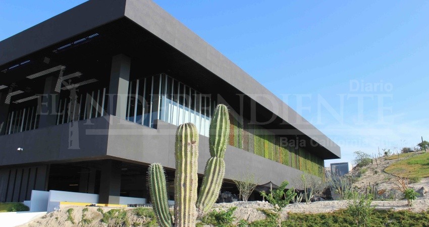 7 mil millones de pesos de derrama para BCS dejan turismo de reuniones