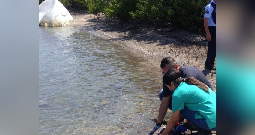 Coordina UABCS jornada de limpieza de playa para este fin de semana Coordina UABCS jornada de limpieza de playa para este fin de semana