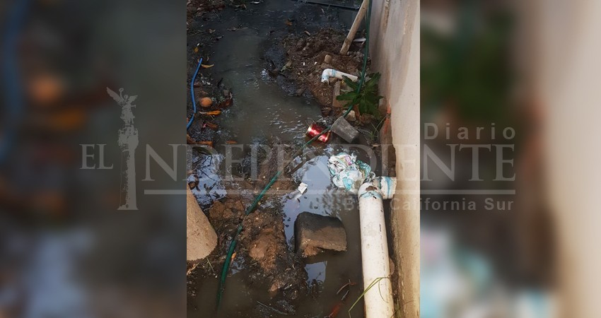 Por colapso de drenaje, aguas negras ingresan hasta domicilios de la colonia Buenos Aires