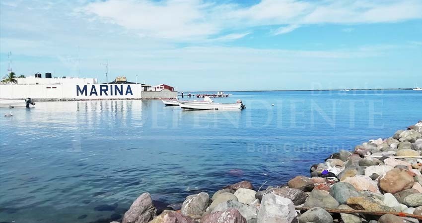 Continúa litigio por muerte de especies marinas a causa de dragado en bahía de La Paz Continúa litigio por muerte de especies marinas a causa de dragado en bahía de La Paz