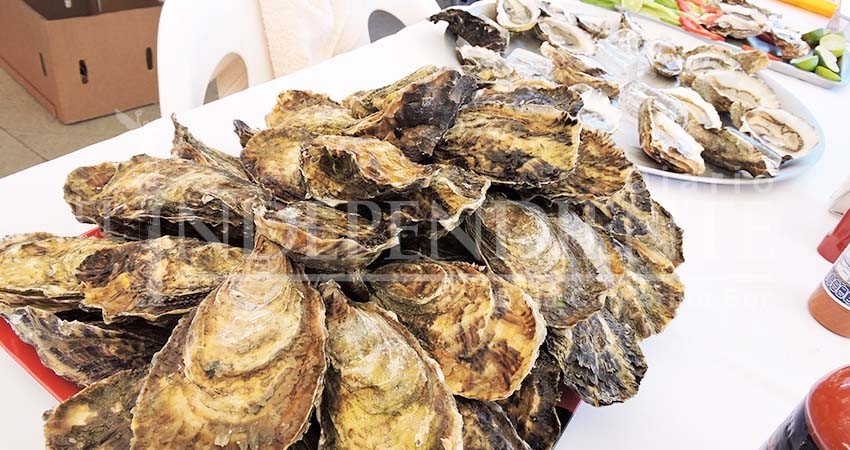 Pescadores exigen detener la extracción ilegal de moluscos y crustáceos Pescadores exigen detener la extracción ilegal de moluscos y crustáceos