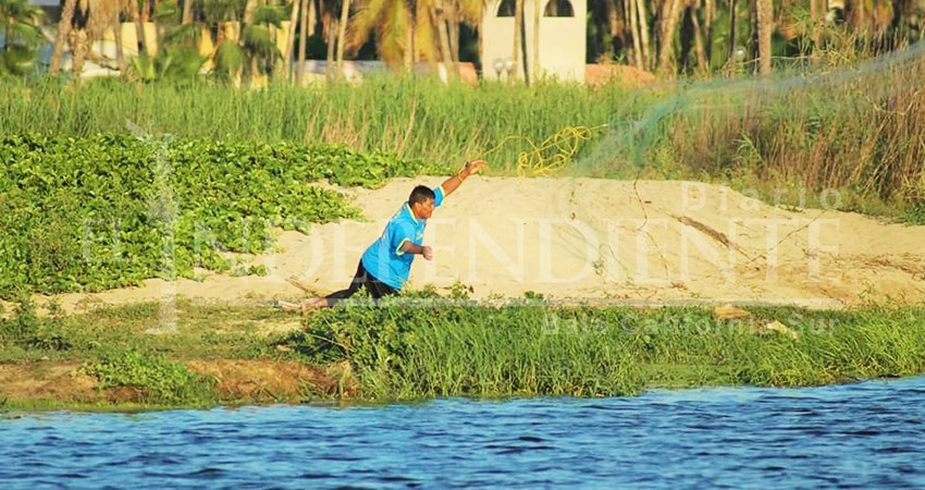 Reportan a ciudadanos pescando ilegalmente en el Estero de San José del Cabo Reportan a ciudadanos pescando ilegalmente en el Estero de San José del Cabo