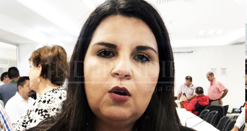 “La naturaleza no tiene palabra”, lamenta Armida Castro “La naturaleza no tiene palabra”, lamenta Armida Castro