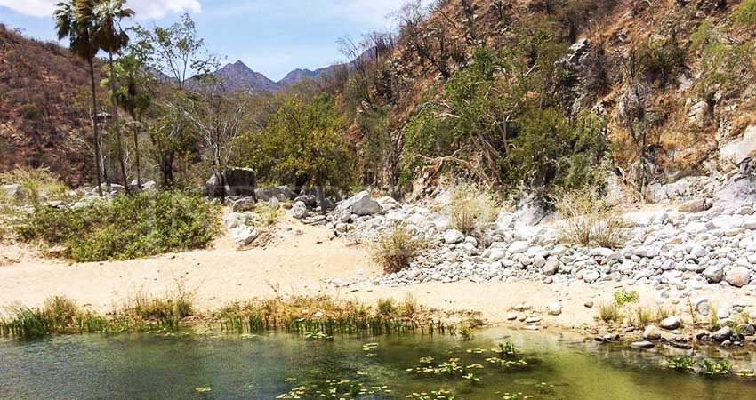 Conagua otorgó 400 concesiones para extraer arena y otros materiales de arroyos en BCS