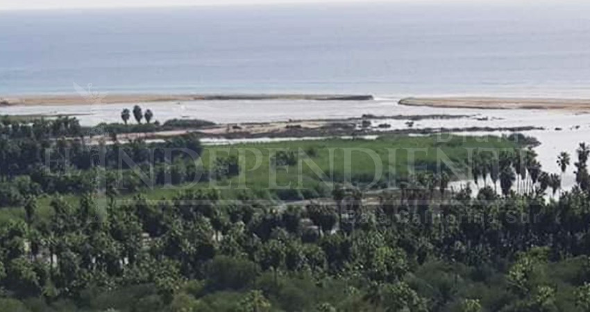 Denuncian a funcionarios por incompetencia al proteger el Estero de San José Denuncian a funcionarios por incompetencia al proteger el Estero de San José